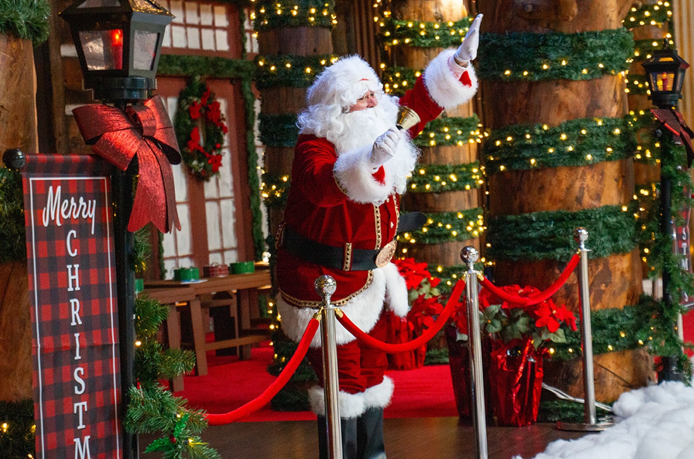 Christmas Wonderland