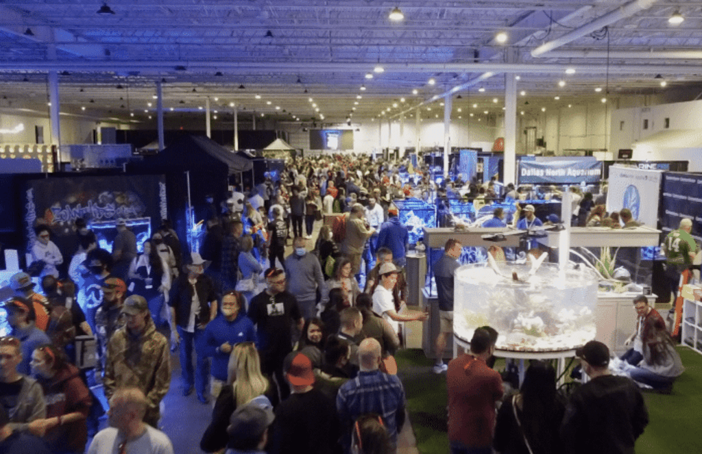 Aquashella at Dezerland Park